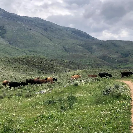 豪华帐篷 Sofra E Vjeter Sofo I Vjeter