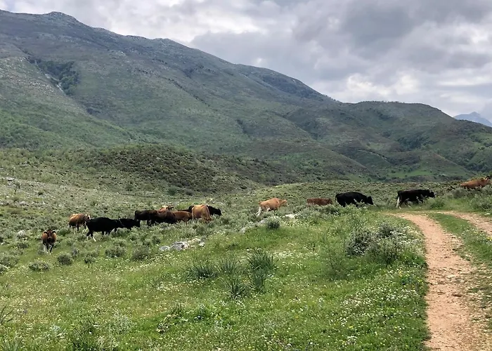 Роскошный шатер Sofra E Vjeter Sofo I Vjeter