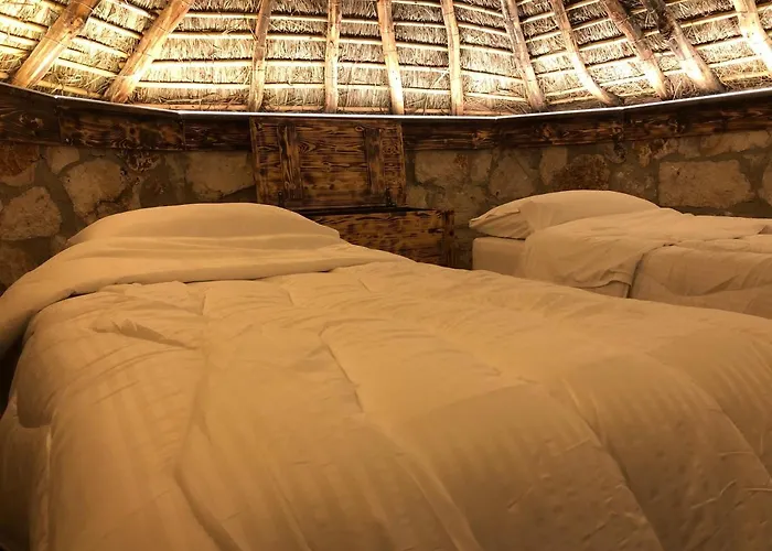 Sofra E Vjeter Sofo I Vjeter * Trajas