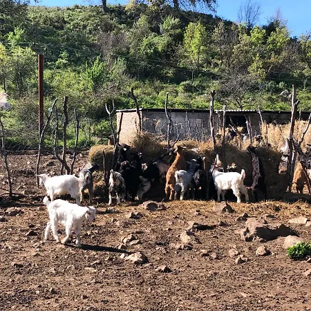 Sofra E Vjeter Sofo I Vjeter *