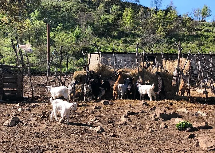 Sofra E Vjeter Sofo I Vjeter *