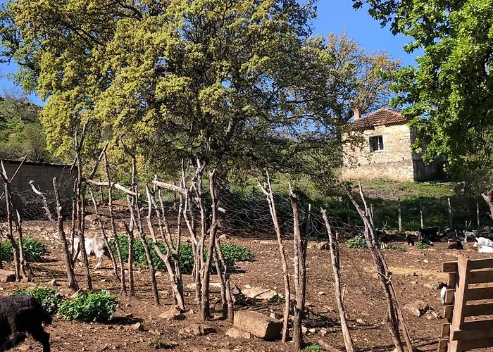 Sofra E Vjeter Sofo I Vjeter * Trajas