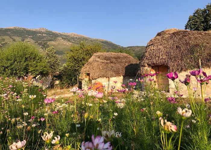 豪华帐篷 Sofra E Vjeter Sofo I Vjeter Trajas